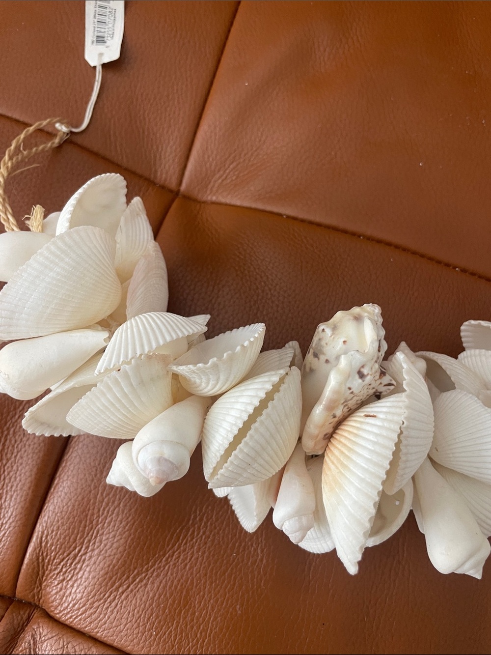 Shell Decor Strand - Picture 2 of 7